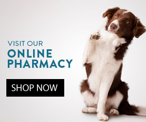 afford-a-care pet hospital online pharmacy | affordacarepethospital.com