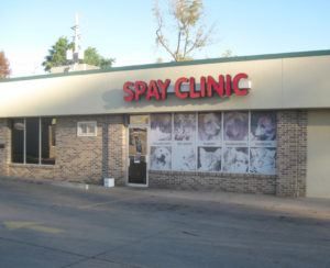 awa spay clinic